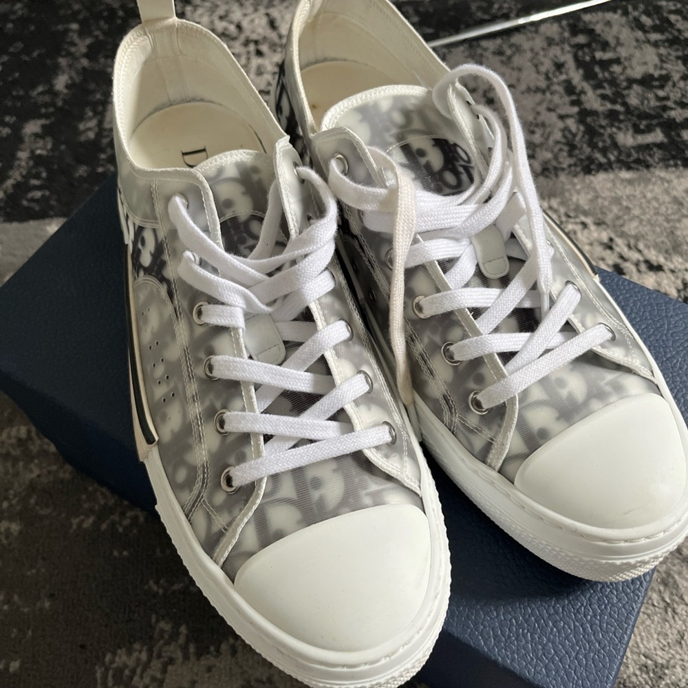 Dior b23 low top sneaker White and Gray Sneakers